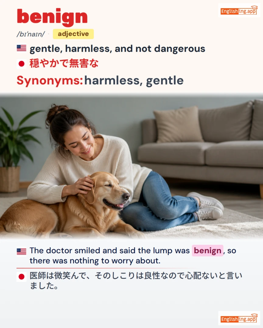 Benign: English vocabulary meaning and example